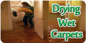 drying-wet-carpets